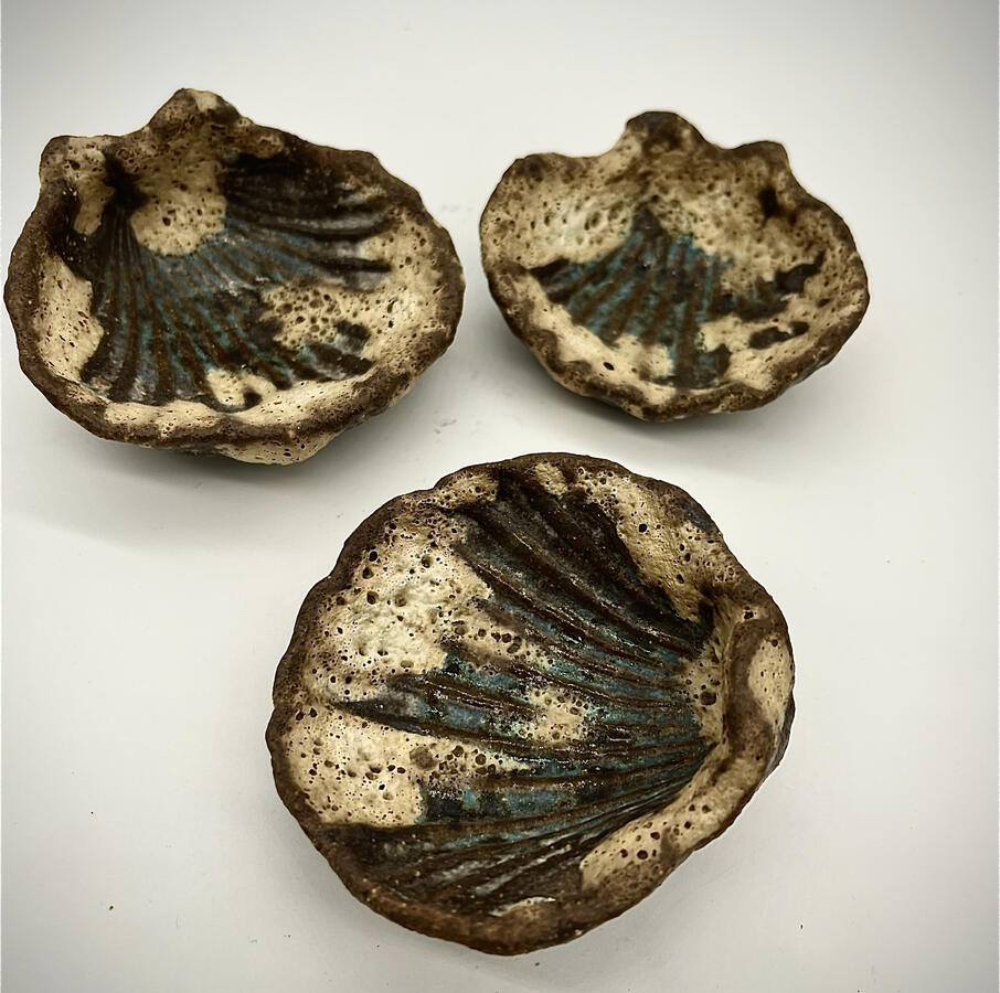 Shells by Elena Fetcher-Carter